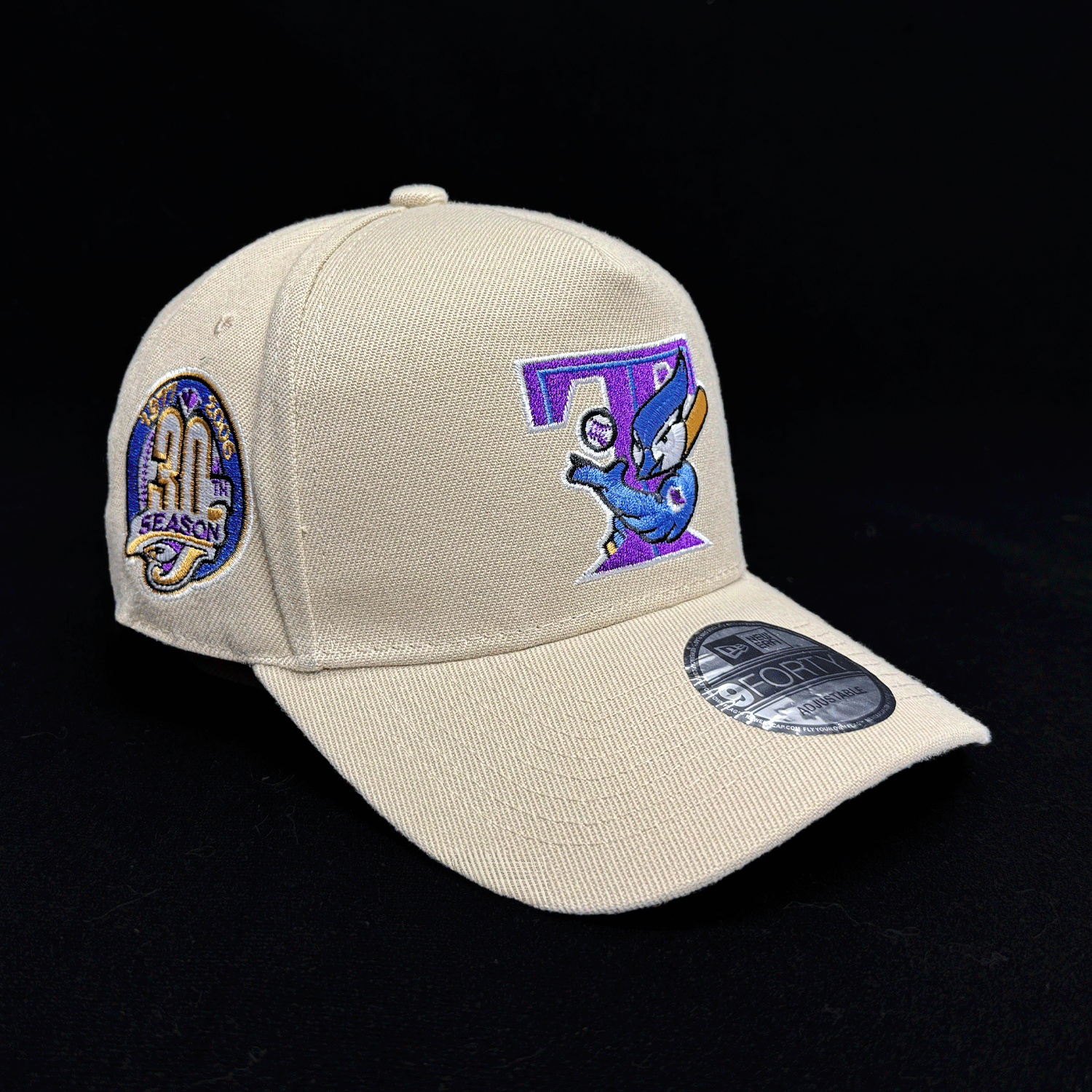 Gorra Snapback 9FORTY A-Frame De Los Toronto Blue Jays 30th Season