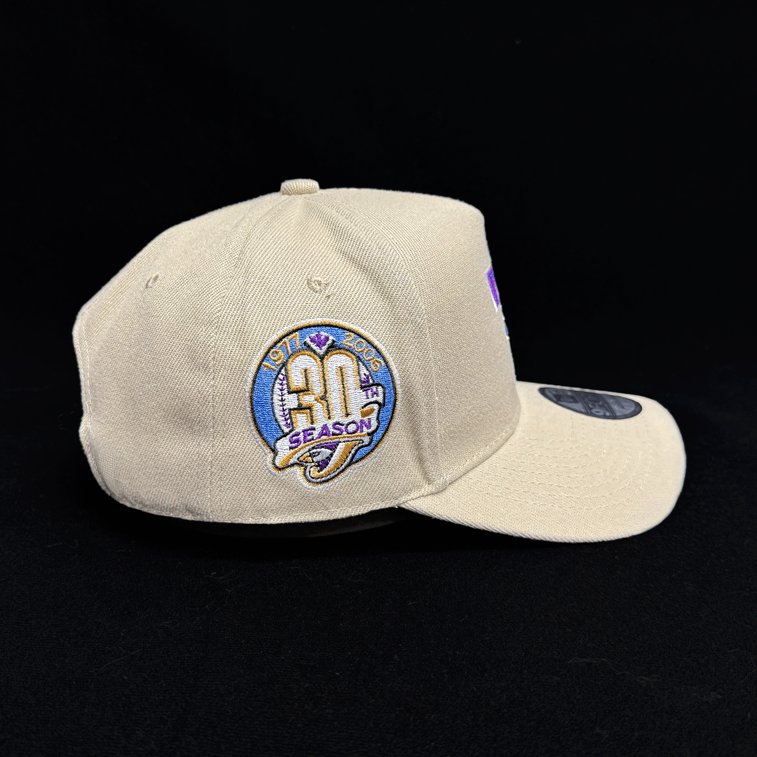 Gorra Snapback 9FORTY A-Frame De Los Toronto Blue Jays 30th Season
