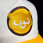 Gorra Snapback 9FORTY A-Frame De Los Chicago Cubs Wringley Field 100th Anniversary